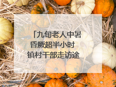 九旬老人中暑昏厥超半小时 镇村干部走访途中发现及时施救｜看见正能量