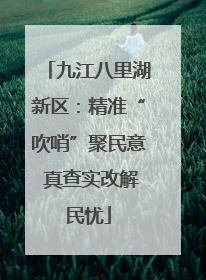 九江八里湖新区：精准“吹哨”聚民意 真查实改解民忧