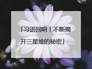 习语回响丨不断揭开三星堆的秘密