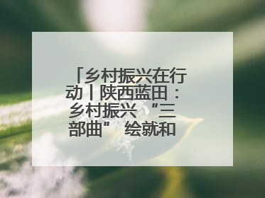 乡村振兴在行动丨陕西蓝田：乡村振兴 “三部曲” 绘就和美乡村新画卷