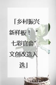 乡村振兴新样板！“七彩官畲”文创改造入选