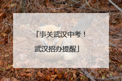 事关武汉中考！武汉招办提醒