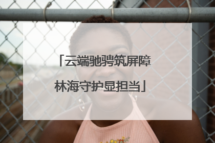 云端驰骋筑屏障 林海守护显担当