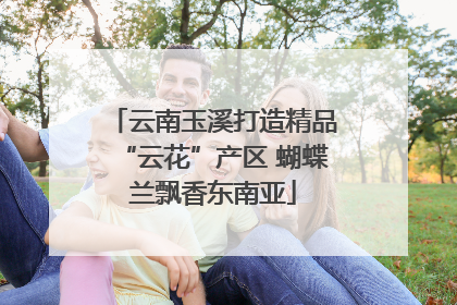 云南玉溪打造精品“云花”产区 蝴蝶兰飘香东南亚