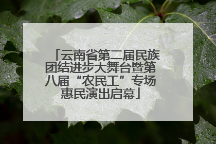 云南省第二届民族团结进步大舞台暨第八届“农民工”专场惠民演出启幕