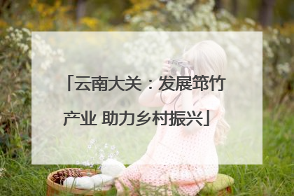 云南大关：发展筇竹产业 助力乡村振兴