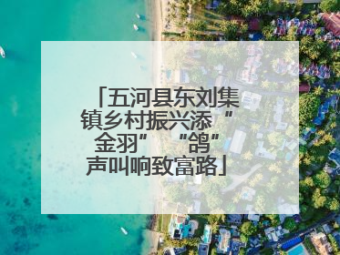 五河县东刘集镇乡村振兴添“金羽” “鸽”声叫响致富路