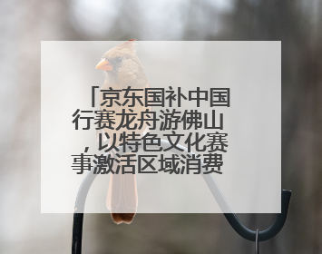 京东国补中国行赛龙舟游佛山，以特色文化赛事激活区域消费新动能