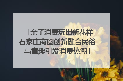 亲子消费玩出新花样 石家庄商圈创新融合民俗与童趣引发消费热潮