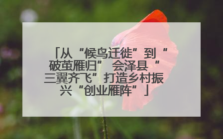 从“候鸟迁徙”到“破茧雁归” 会泽县“三翼齐飞”打造乡村振兴“创业雁阵”
