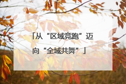 从“区域竞跑”迈向“全域共舞”