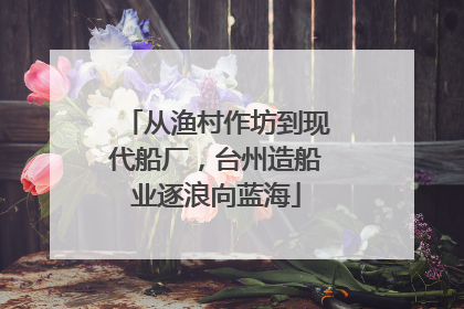 从渔村作坊到现代船厂，台州造船业逐浪向蓝海