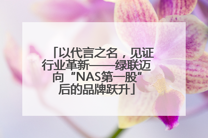 以代言之名，见证行业革新——绿联迈向“NAS第一股”后的品牌跃升