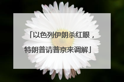 以色列伊朗杀红眼，特朗普请普京来调解