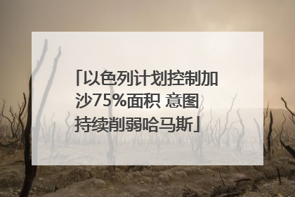 以色列计划控制加沙75%面积 意图持续削弱哈马斯