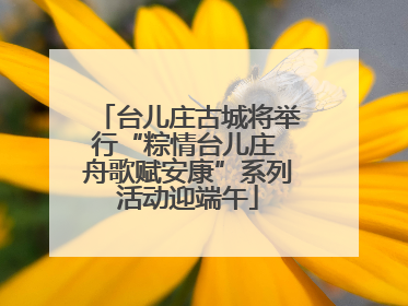 台儿庄古城将举行“粽情台儿庄 舟歌赋安康”系列活动迎端午