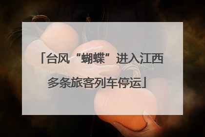 台风“蝴蝶”进入江西 多条旅客列车停运