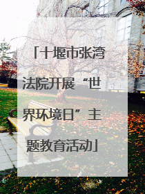 十堰市张湾法院开展“世界环境日”主题教育活动