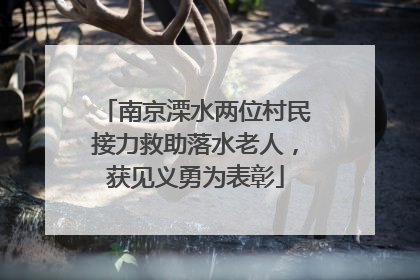 南京溧水两位村民接力救助落水老人，获见义勇为表彰