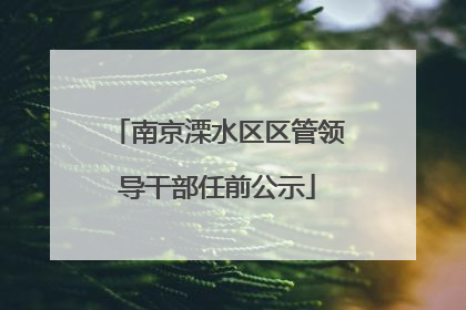 南京溧水区区管领导干部任前公示