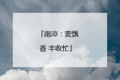南漳：麦飘香 丰收忙