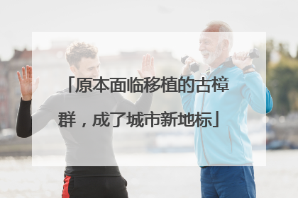 原本面临移植的古樟群，成了城市新地标