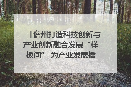 儋州打造科技创新与产业创新融合发展“样板间” 为产业发展插上科技“翅膀”