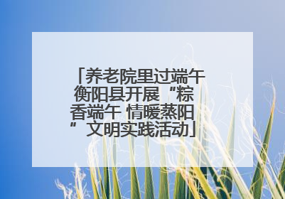 养老院里过端午 衡阳县开展“粽香端午 情暖蒸阳”文明实践活动