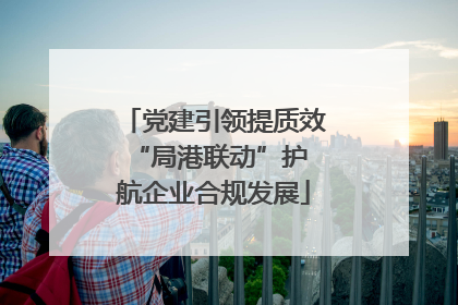 党建引领提质效 “局港联动”护航企业合规发展
