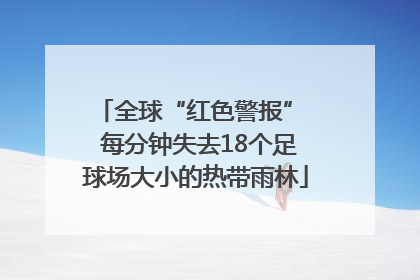 全球“红色警报”  每分钟失去18个足球场大小的热带雨林