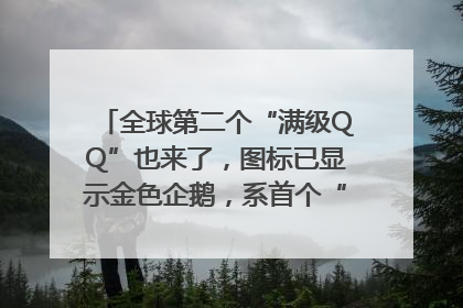 全球第二个“满级QQ”也来了，图标已显示金色企鹅，系首个“满级QQ”的小号