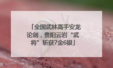 全国武林高手安龙论剑，贵阳云岩“武将”斩获7金6银