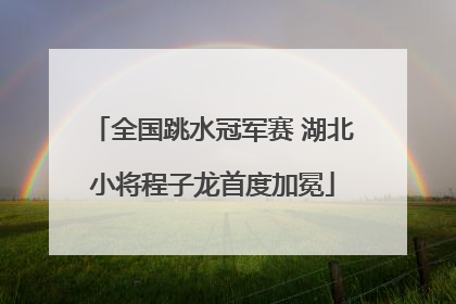 全国跳水冠军赛 湖北小将程子龙首度加冕