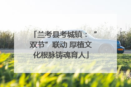 兰考县考城镇：“双节”联动 厚植文化根脉铸魂育人