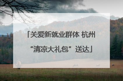 关爱新就业群体 杭州“清凉大礼包”送达