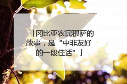 冈比亚农民穆萨的故事，是“中非友好的一段佳话”