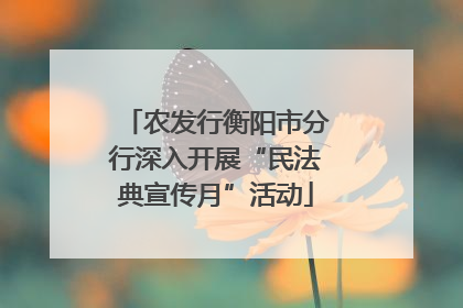 农发行衡阳市分行深入开展“民法典宣传月”活动