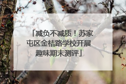 减负不减质！苏家屯区金桔路学校开展趣味期末测评