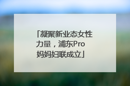 凝聚新业态女性力量，浦东Pro妈妈妇联成立