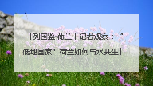 列国鉴·荷兰丨记者观察：“低地国家”荷兰如何与水共生