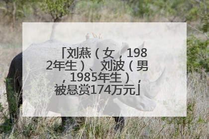 刘燕（女，1982年生）、刘波（男，1985年生），被悬赏174万元