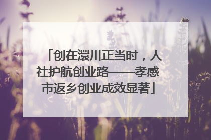 创在澴川正当时，人社护航创业路——孝感市返乡创业成效显著