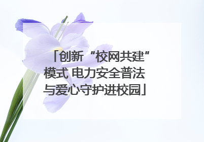 创新“校网共建”模式 电力安全普法与爱心守护进校园