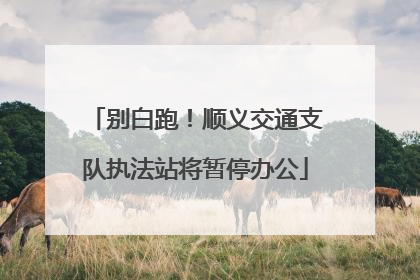 别白跑！顺义交通支队执法站将暂停办公