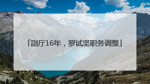 副厅16年，罗试坚职务调整