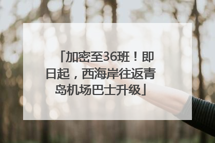 加密至36班！即日起，西海岸往返青岛机场巴士升级