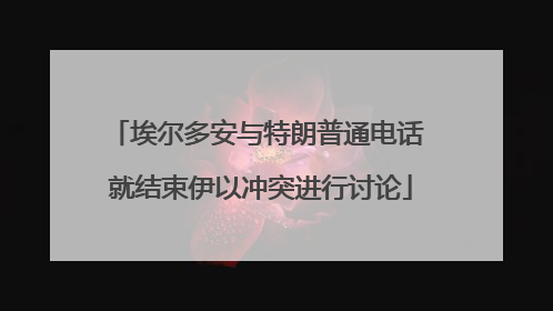埃尔多安与特朗普通电话 就结束伊以冲突进行讨论