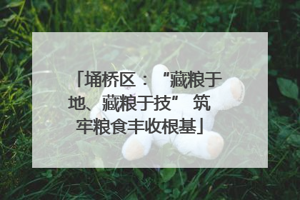 埇桥区：“藏粮于地、藏粮于技” 筑牢粮食丰收根基