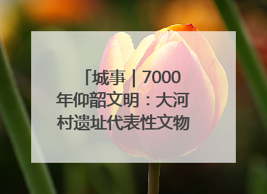 城事｜7000年仰韶文明：大河村遗址代表性文物首回原址