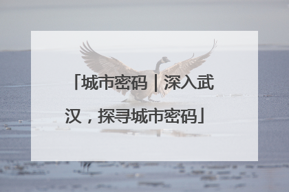 城市密码｜深入武汉，探寻城市密码